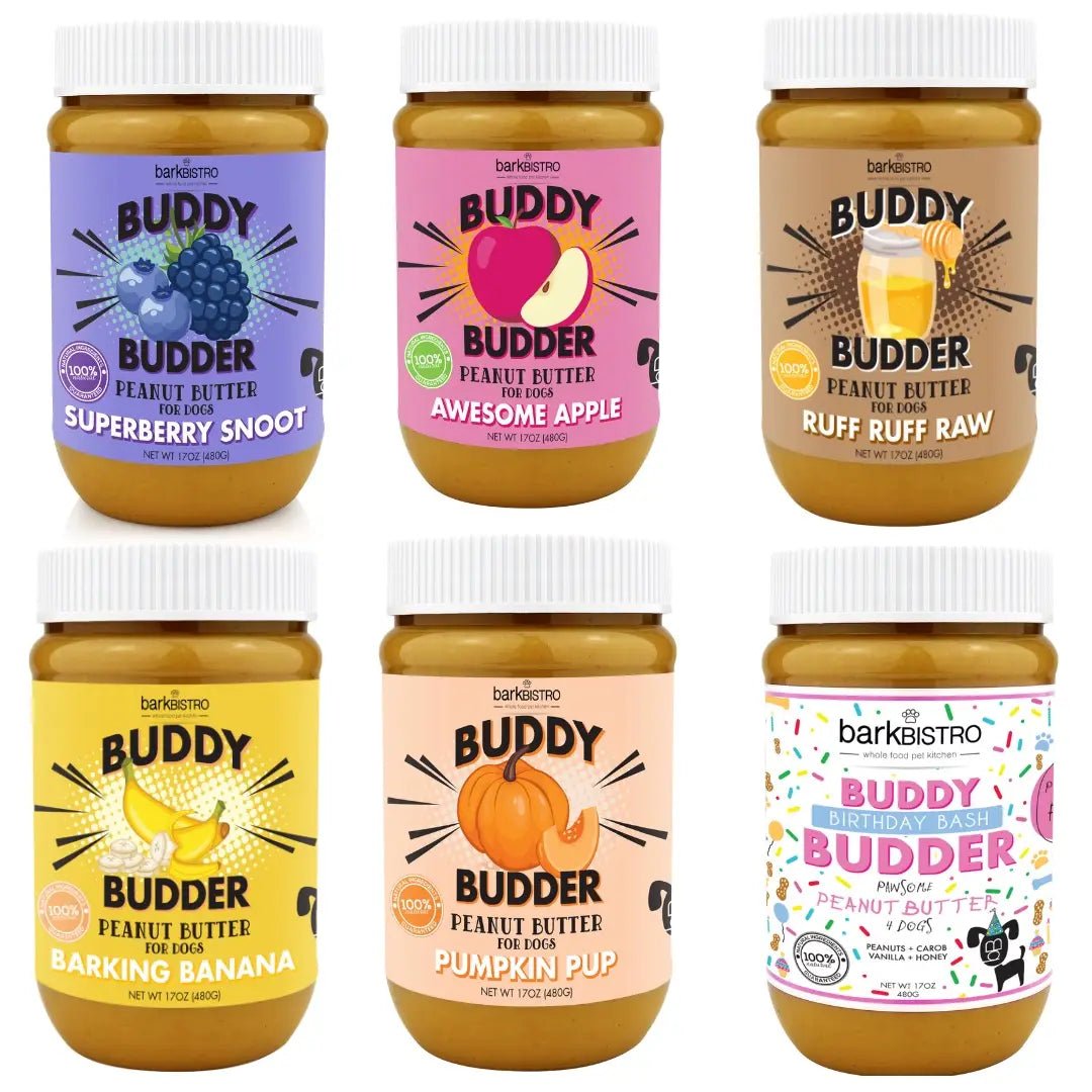 Pumpkin Pup – Buddy Budder for Dogs.