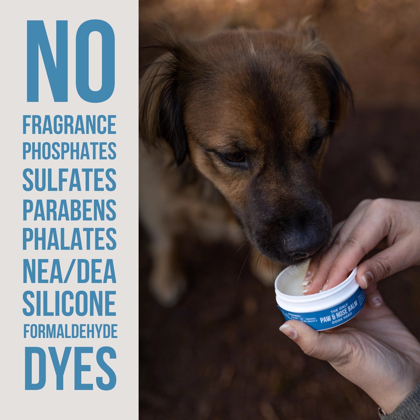 Paw balm and nose balm, safe non-toxic formula, fragrance-free, lick-safe to hydrate and soothe pets effectively