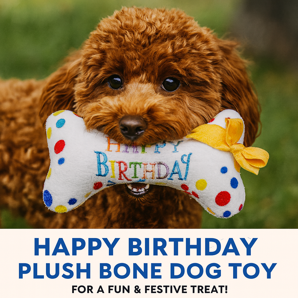 Birthday dog toy plush squeaky, colorful soft chew bone for pet birthday celebrations and gifts