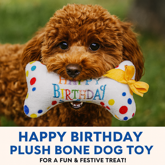 Birthday dog toy plush squeaky, colorful soft chew bone for pet birthday celebrations and gifts