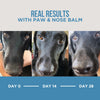 Paw balm and nose balm, safe non-toxic formula, fragrance-free, lick-safe to hydrate and soothe pets effectively