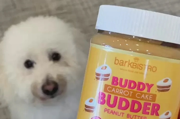 Load video: Superberry Snoot – Buddy Budder for Dogs.